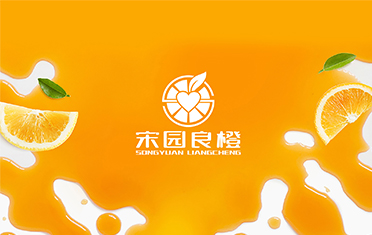 某良橙——潮州LOGO设计